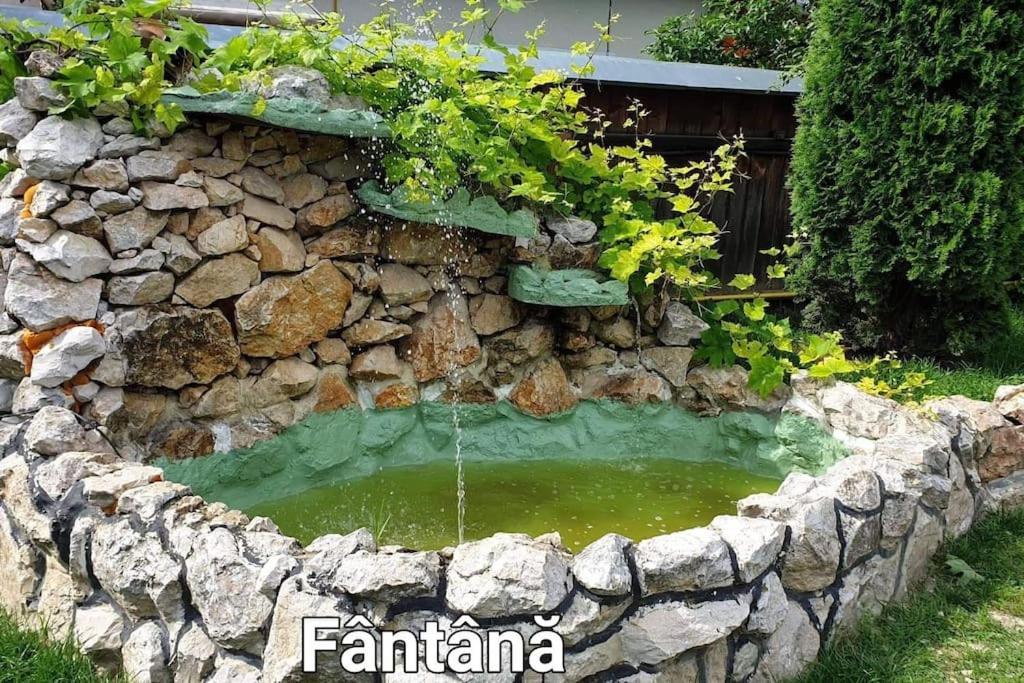 Ciprians' Home 사셀레 외부 사진